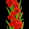 glaieuls ( 12 X 30 ) Offerte à Carole Moffatt et René Vanier