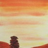 veilleur
						(12 X 30 )
						